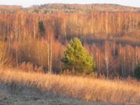 52. Солнечный денёк